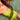 A woman wearing a bright lime green one-piece swimsuit, photographed from above while floating in clear, sunlit shallow water.