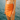 Person wearing an orange bikini and skirt standing by water